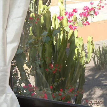 Family 1 Bedroom With Pool View 2 - Oasis Duna